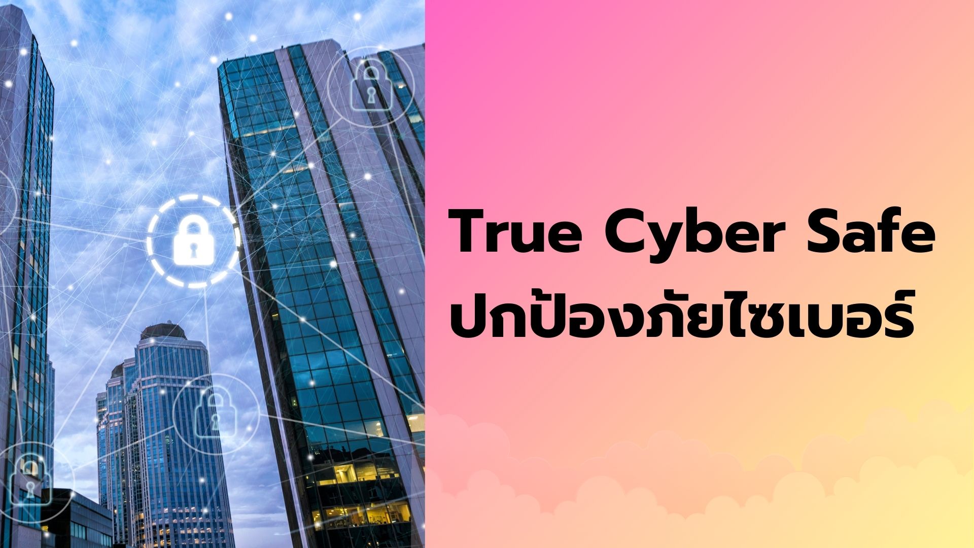 True Cyber Safe